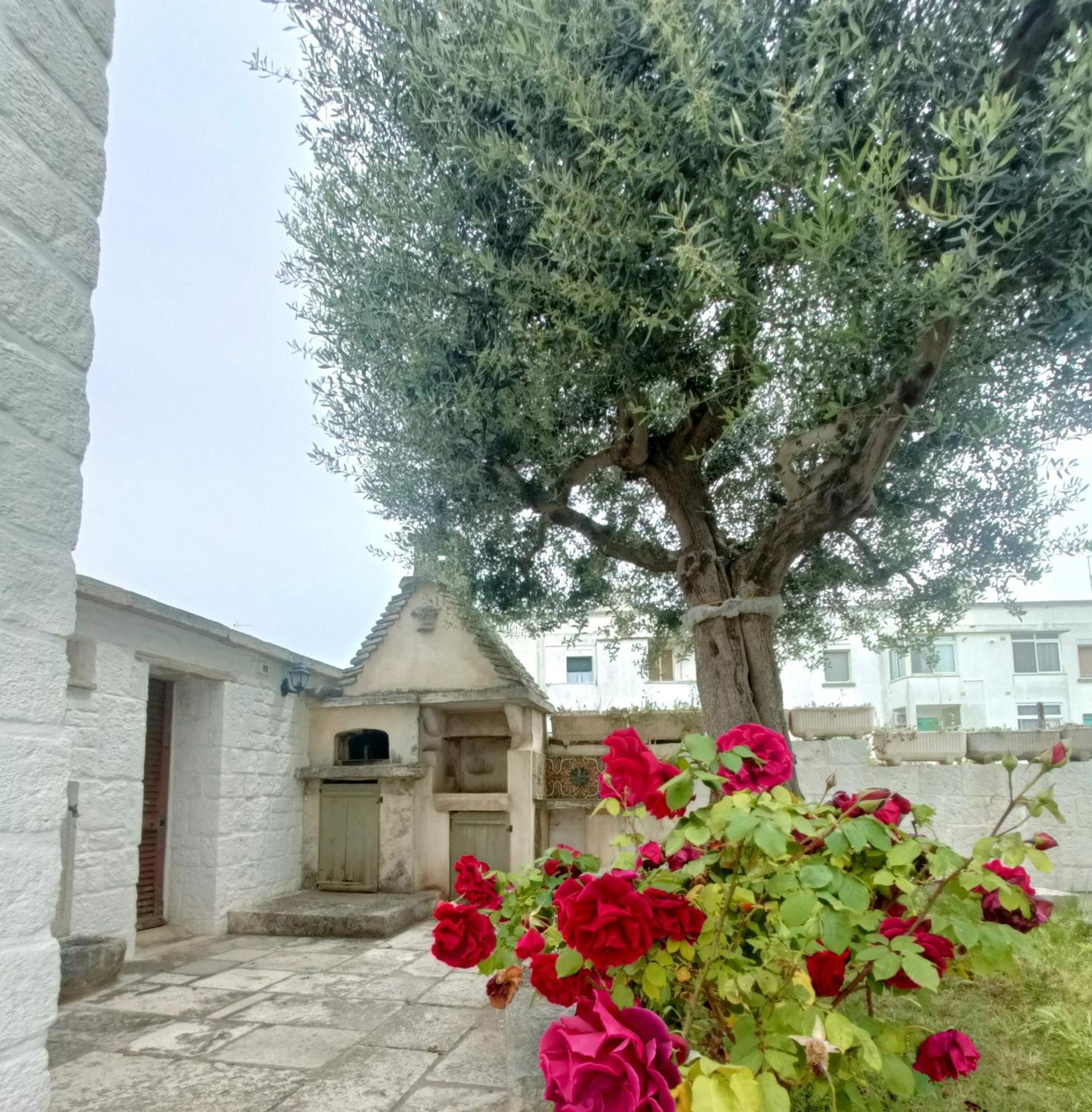 Trulli Soave *
